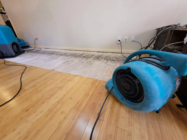 Professional Burst Pipe Water Damage technician working in Agua Dulce, TX